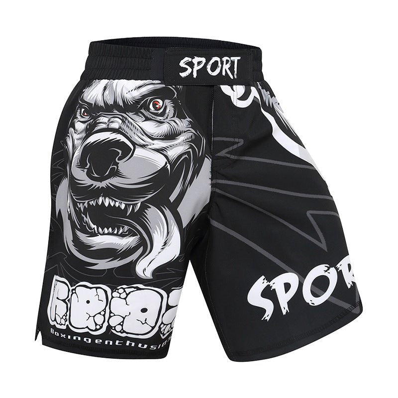 Jiu-jitsu BJJ No Gi Shorts - Rashguard & Shorts Set