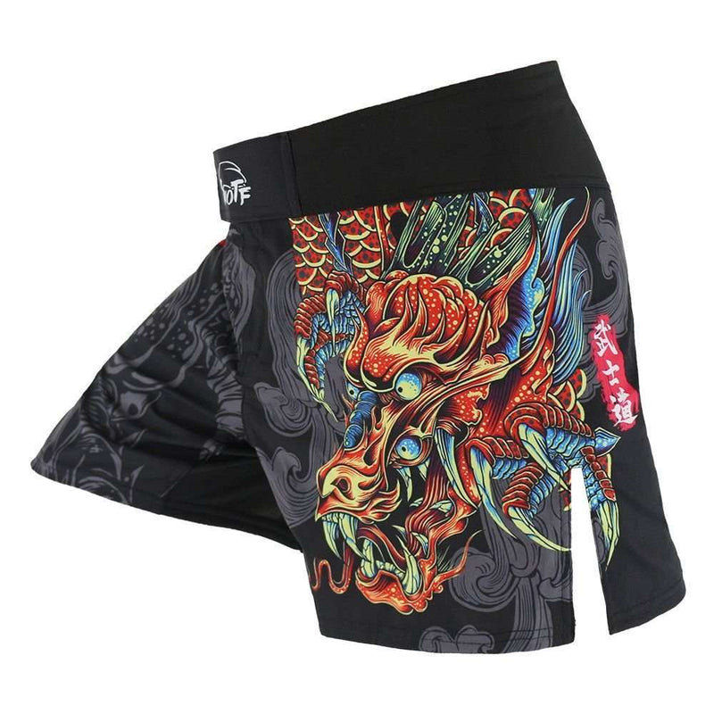 Ruggeda MMA Fighting Shorts